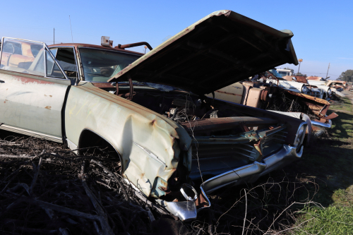 2024-RustyRoadTrip-0471fhd