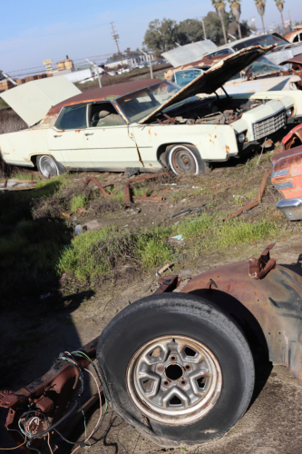 2024-RustyRoadTrip-0480fhd