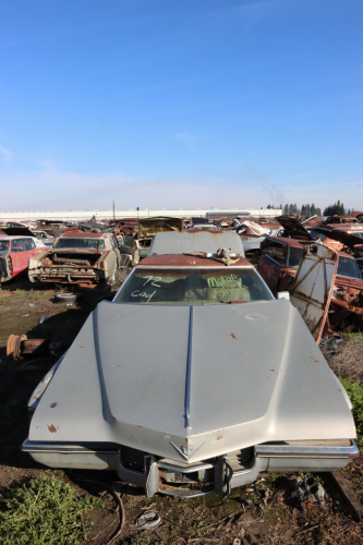 2024-RustyRoadTrip-0489fhd