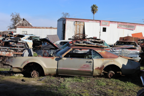 2024-RustyRoadTrip-0496fhd