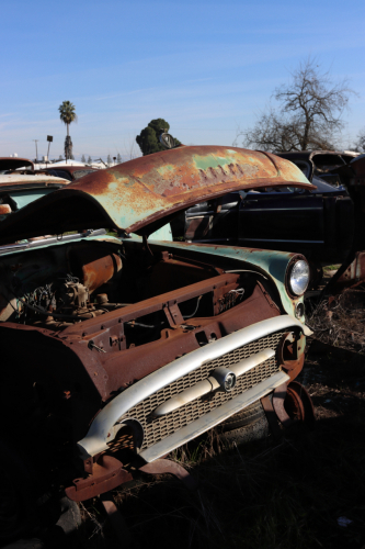 2024-RustyRoadTrip-0508fhd