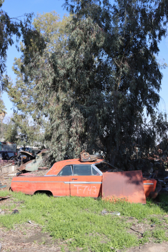 2024-RustyRoadTrip-0533fhd