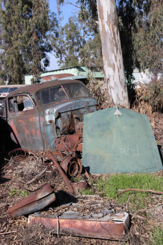 2024-RustyRoadTrip-0534fhd