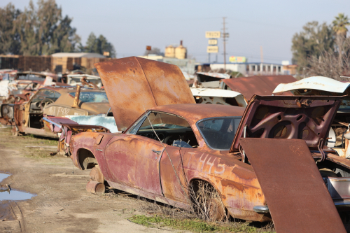 2024-RustyRoadTrip-0544fhd