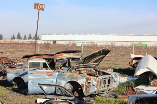 2024-RustyRoadTrip-0576fhd