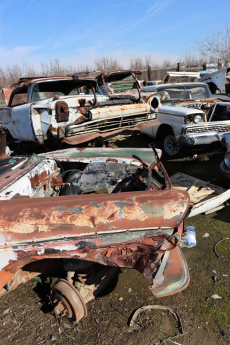 2024-RustyRoadTrip-0614fhd