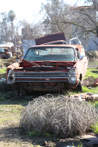 2024-RustyRoadTrip-0665fhd