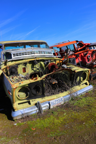 2024-RustyRoadTrip-0672fhd