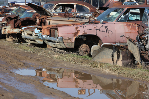 2024-RustyRoadTrip-0677fhd