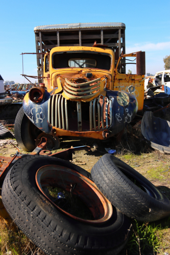 2024-RustyRoadTrip-0686fhd