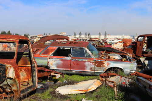 2024-RustyRoadTrip-0695fhd