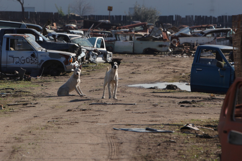 2024-RustyRoadTrip-0728fhd