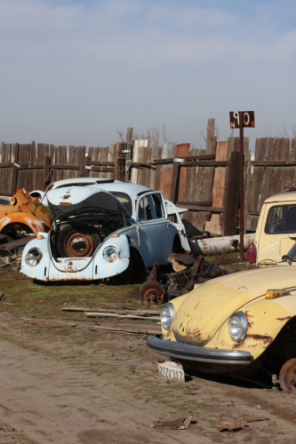 2024-RustyRoadTrip-0732fhd