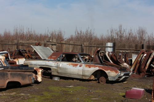 2024-RustyRoadTrip-0751fhd