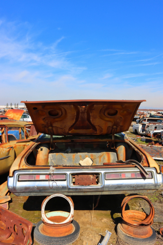 2024-RustyRoadTrip-0772fhd