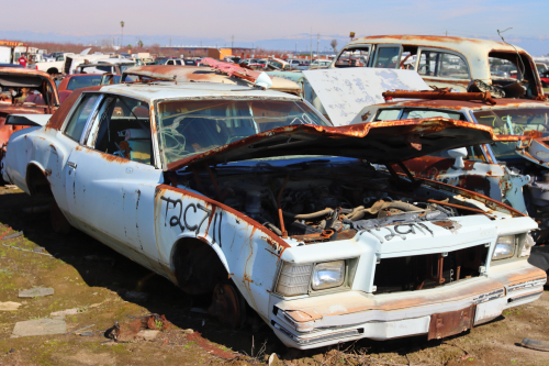 2024-RustyRoadTrip-0784fhd