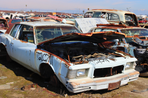 2024-RustyRoadTrip-0785fhd