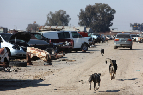 2024-RustyRoadTrip-0793fhd