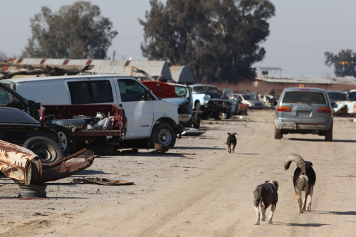 2024-RustyRoadTrip-0794fhd