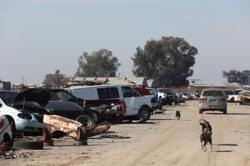 2024-RustyRoadTrip-0795fhd