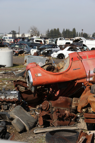 2024-RustyRoadTrip-0861fhd