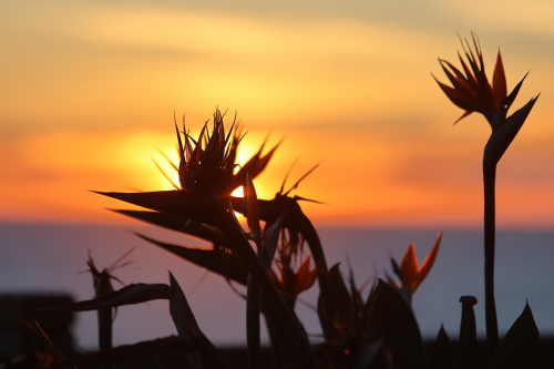 2024-RustyRoadTrip-0913fhd