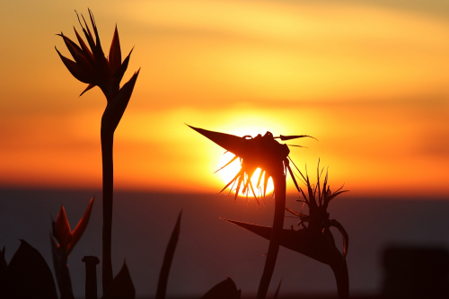 2024-RustyRoadTrip-0914fhd