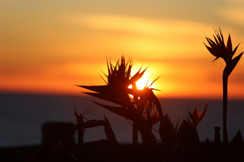 2024-RustyRoadTrip-0915fhd