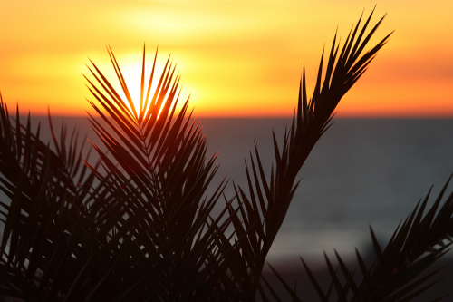 2024-RustyRoadTrip-0916fhd