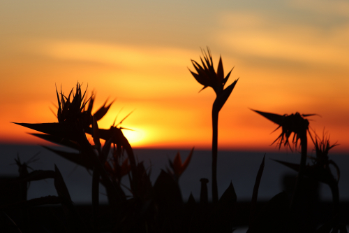 2024-RustyRoadTrip-0917fhd