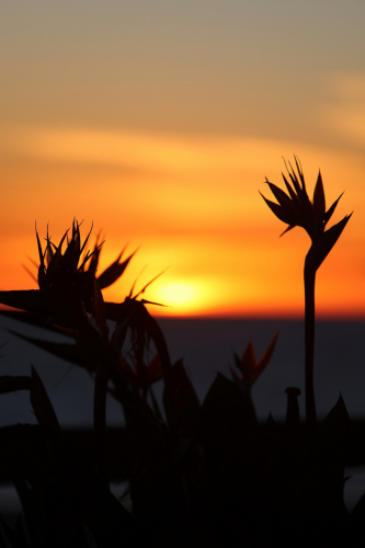 2024-RustyRoadTrip-0918fhd