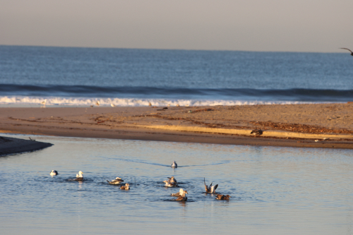 2024-RustyRoadTrip-0920fhd