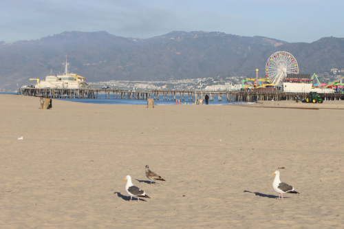 2024-RustyRoadTrip-0952fhd