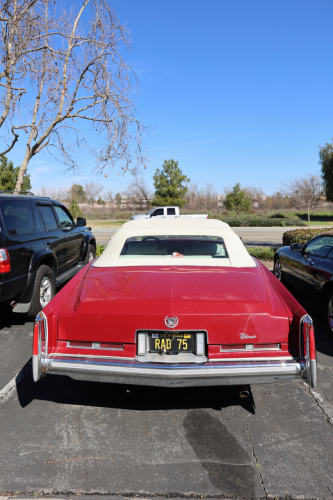 2024-RustyRoadTrip-0966fhd