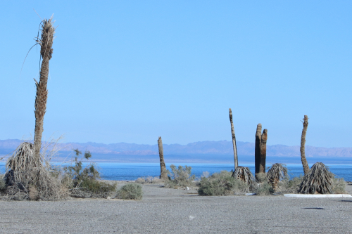 2024-RustyRoadTrip-0979fhd