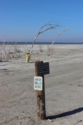 2024-RustyRoadTrip-1022fhd