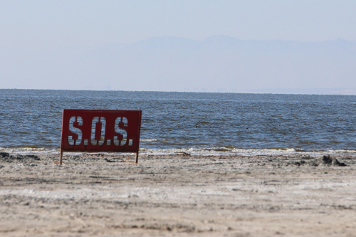 2024-RustyRoadTrip-1054fhd