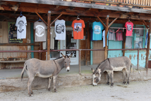 2024-RustyRoadTrip-1186fhd