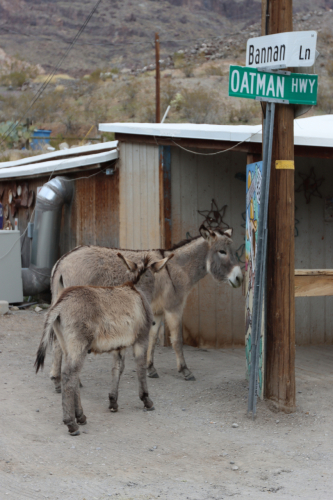 2024-RustyRoadTrip-1187fhd