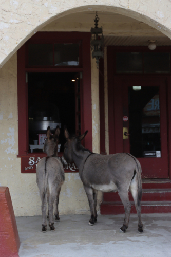 2024-RustyRoadTrip-1189fhd