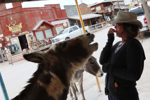 2024-RustyRoadTrip-1196fhd