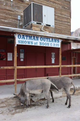 2024-RustyRoadTrip-1203fhd