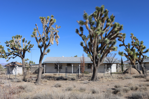 2024-RustyRoadTrip-1268fhd