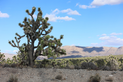 2024-RustyRoadTrip-1270fhd