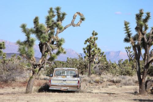 2024-RustyRoadTrip-1272fhd