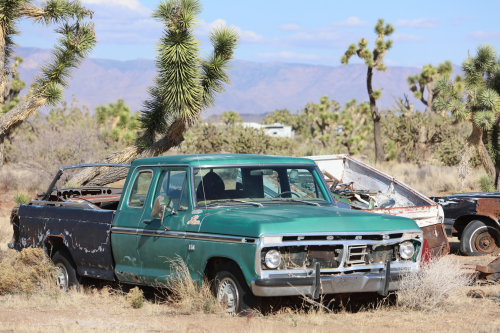 2024-RustyRoadTrip-1275fhd