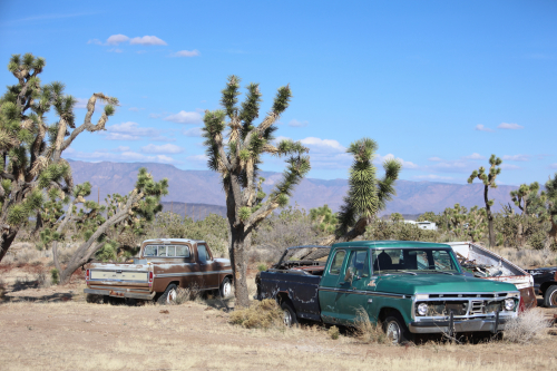 2024-RustyRoadTrip-1276fhd