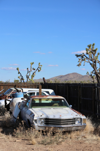 2024-RustyRoadTrip-1277fhd