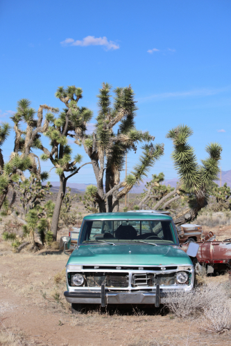 2024-RustyRoadTrip-1278fhd