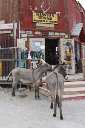 2024-RustyRoadTrip-1285fhd